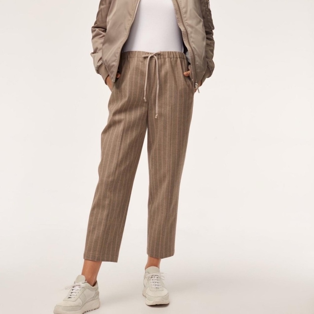 Aritzia Group by Babaton Jimmy pants
